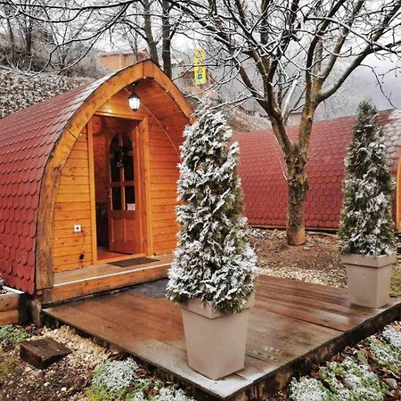 Vila Jelena - Bungalov Crni Vrh Exteriér fotografie